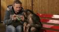 Monkeys Watching iPad Magic Is An Example Of Pure Joy