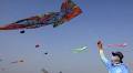 Four dead in Gujarat due to kite string injuries