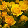 Lena Bramlett Obituary March 16, 2026