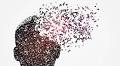 Experts call for urgent action to improve Alzheimer’s diagnosis across Europe