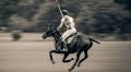 4 Best Places to Watch Polo