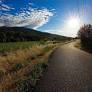 OUTDOOR ADVENTURES: Greenway clean-up, activities guides, birds and more