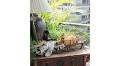 Where to buy antiques or vintage furniture – reviews