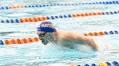 Florida swim & dive sweep Georgia in two-day dual meet