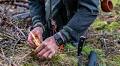 This Man Can Teach You How to Survive in the Wild—Here Are His Essential Tips