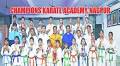 Champions Academy karatekas shine in Vid-level tourney