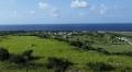 New law clears hurdle in Parliament for marijuana in Barbados