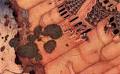 These Fairy Tales Were Used as Propaganda