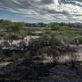 Northwest crews respond to small brush fire off River Road in Tucson | Local News