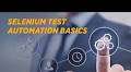 Selenium Automation Testing: Step by Step Guide for 2025