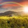 70 Positive Life Quotes To Brighten Your Day