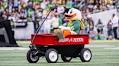 College football week 12 preview: No. 8 Oregon vs. Minnesota