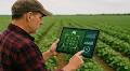 Tech touted as solution to ageing-farmer crisis, but farms can’t thrive without reforms