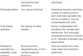 Semen Handling in South American Camelids: State of the Art