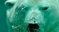 Analyst Says XRP Price Is Yet To Hit Its First Bearish Target – Details