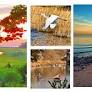 Staying in Love w/ Old Cape Cod: Preserving both its Natural Beauty & Housing Affordability: 4 Zooms