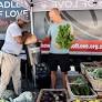 Turning food waste into millions of healthy meals