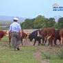 Carne uruguaya mira al mercado chino