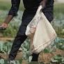 May 1: China Opens Its Market to Africa with Zero Tariffs, Iran War Raises Food & Aid Risks in Africa