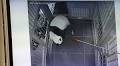 Japan’s Only Two Pandas to Be Sent Back to China: Reports