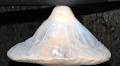 Sea anemone discovery stuns science, named after Mt. Fuji