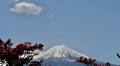 GALLERY: "Lights, Camera, Anime!" Japan Travel Abroad Captured in Photos
