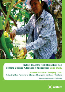 Jasmine Rice: Adapting rice farming to climate change in Northeast ...
