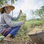 WCC urges binding finance rules for global justice