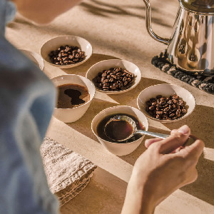 Bella Donovan | Blue Bottle Coffee