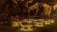 Vietnam's Dragon Pearl Cave To Unveil Dreamlike Dining Experience
