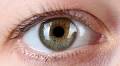 Golden eyes: How gold nanoparticles may one day help to restore people’s vision