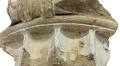 German woman who stole ancient relic over 50 years ago returns it to Greece: "Never too late to do the right thing"