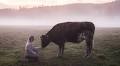 The Spellbinding Swedish Song That Calls Cows Home