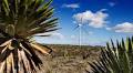 Mexico moves with renewable energy