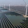 Global renewable capacity sees record growth: IRENA