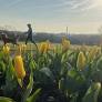 CWG Live: Seasonably chilly tonight, warmer by Thursday and then another cooldown