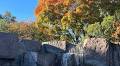 CWG Live updates: Some frost north and west tonight before slow warming into the weekend