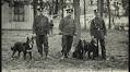Dogs, the Four-Legged Crime-Fighters of Paris