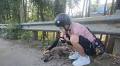 Happy homes for stray, abandoned animals in Hanoi