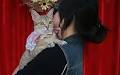 Vietnamese youth pamper pets like royalty