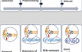 The MicroRNA Interaction Network of Lipid Diseases