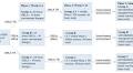 ORLA combined with telerehabilitation in patients with subacute Poststroke aphasia: a randomized controlled trial