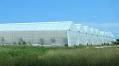 Sensei Ag expands U.S greenhouse network with 26-acre acquisition
