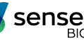 Sensei Biotherapeutics Reports Third Quarter 2025 Financial Results