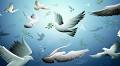 Peace and Justice in Islam