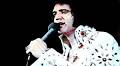 'Elvis on Tour' Captured The King of Rock as an Actual Human Being