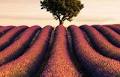 Video: Landscape photographer Mads Peter Iversen critiques 30 photos