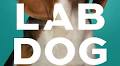 Lab Dog: A Beagle And His Human Investigate The Surprising World Of Animal Research