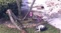 2 dead after relief flight crashes in Florida on the way to Jamaica for Hurricane Melissa clean up