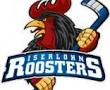 Iserlohn Roosters details